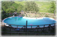 Assemblaggio e progettazione Piscine - ImpresaArdua.org