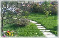 Fiori e piante - ImpresaArdua.org